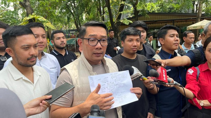Ridwan Kamil (Rumondang/detikcom)