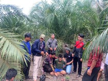 Riki Pembunuh Istri Ditangkap di Kebun Sawit, Lemas Tak Makan Berhari-hari