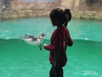 Memahami Wisata Kaum Neurodivergent, Apa Itu?