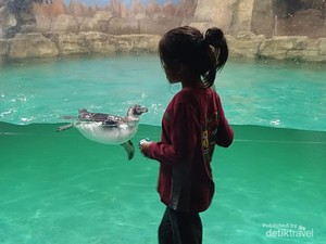 Memahami Wisata Kaum Neurodivergent, Apa Itu?