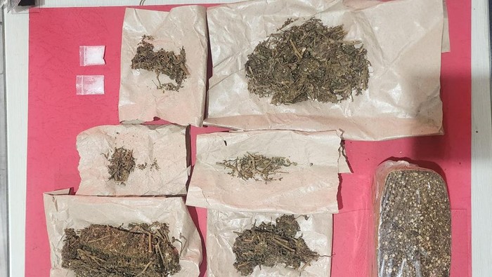 Barang bukti ganja dan sabu yang disita dari pengedar di Benowo Surabaya