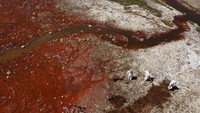 Sejak tahun 2021, pembersihan tahunan telah membantu mereklamasi sekitar 19 hektar (47 are) yang sebelumnya tertutup sampah, menurut pejabat kota.