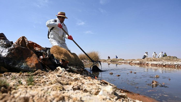 Danau Uru Uru Bolivia, Rumah Bagi Burung Flamingo Tercemar Sampah Volunteers take part in a campaign to clean the banks of Lake Uru Uru, in Oruro, Bolivia October 5, 2024. REUTERS/Claudia Morales