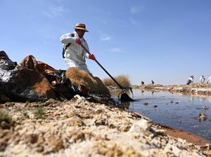 Danau Uru Uru Bolivia, Rumah Bagi Burung Flamingo Tercemar Sampah