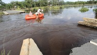 Ratusan hektar lahan perkebunan dan pertanian juga terendam akibat banjir. Sebanyak 2.508 kepala keluarga juga terdampak banjir.  