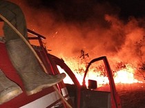 350 Hektare Lahan TN Way Kambas Kembali Terbakar