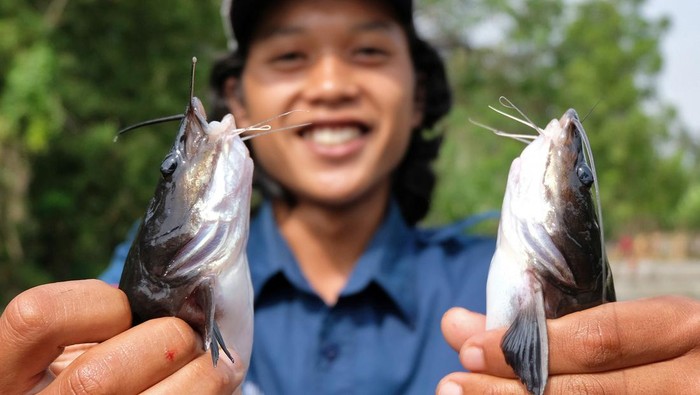 Panen Ikan Beong di Magelang Petugas Unit Pelaksana Teknis Daerah-Perbenihan Ikan Air tawar (UPTD-PIAT) melakukan panen perdana ikan Beong (Hemibagrus nemurus) di kolam Unit BBI (Balai Benih Ikan) Sawangan II Magelang, Jawa Tengah, Selasa (10/7/2024). Panen ikan endemik Sungai Progo yang dibudidayakan oleh Dinas Peternakan dan Perikanan Kabupaten Magelang tersebut dalam rangkai peringatan Hari Ikan Nasional 2024 yang mengusung tema Ikan untuk Generasi Emas. ANTARA FOTO/Anis Efizudin/rwa.