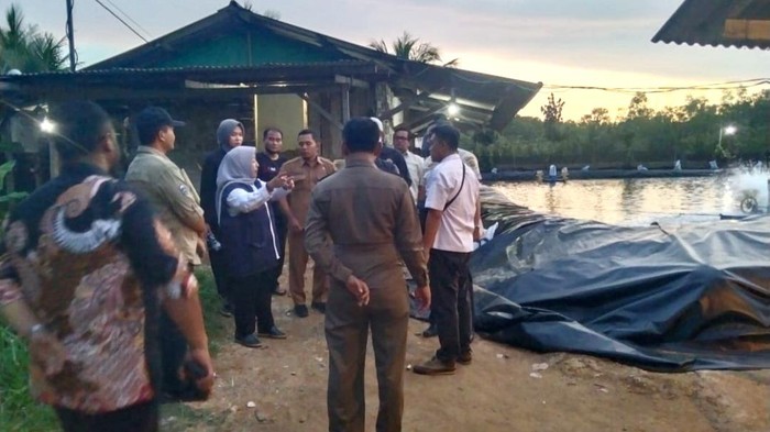 Pemkab Trenggalek menutup tambak udang yang membuang limbahnya sembarangan