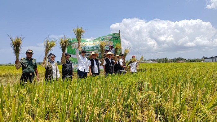 pertanian banyuwangi