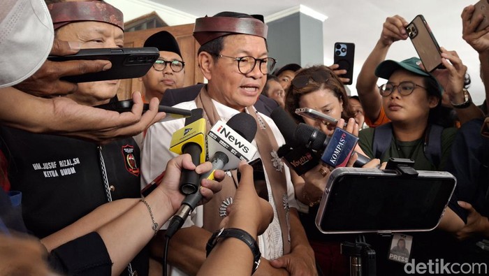 Pramono Anung (Taufiq Syarifudin/detikcom)