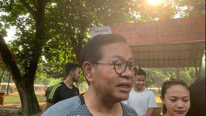 Pramono Anung (Taufiq/detikcom)