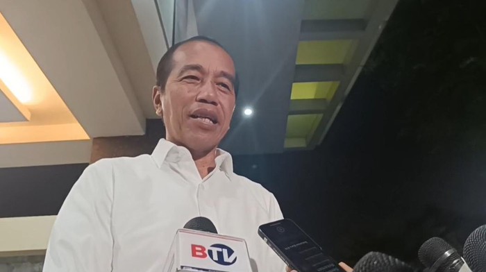 Presiden Jokowi (dok istimewa)
