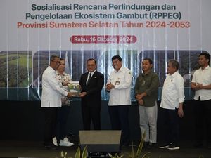 Hampir 1 Juta Hektare Lahan Gambut di Sumsel Lenyap!