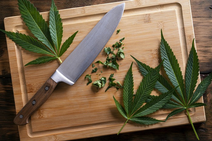 Daun ganja