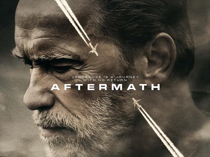 Poster film Aftermath