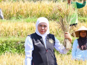 Hari Pangan Sedunia, Khofifah Tekankan Pentingnya Inovasi Pengelolaan Air