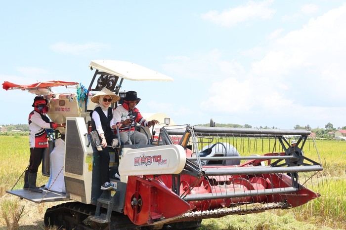 Kolaborasi dengan Petani, Bulog Serap Panen Lewat Program Mitra Tani