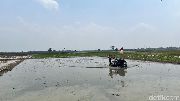 Lewat Mitra Tani, Bulog Mengantar Kebaikan sampai ke Petani