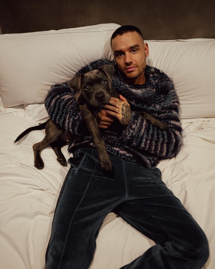 Liam Payne Liam Payne