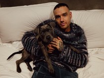 8 Lagu Liam Payne, Eks Anggota 1D yang Tewas Jatuh dari Balkon Hotel