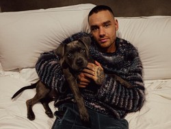 Liam Payne Diusir dari Hotel Lain Sebelum Loncat dari Balkon