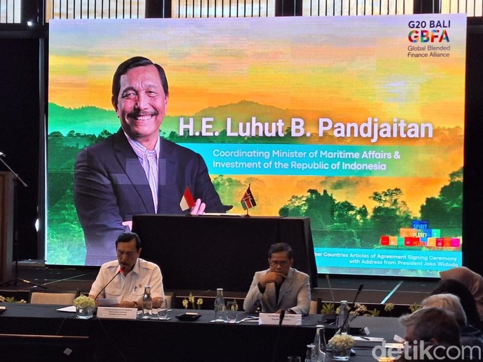 Luhut