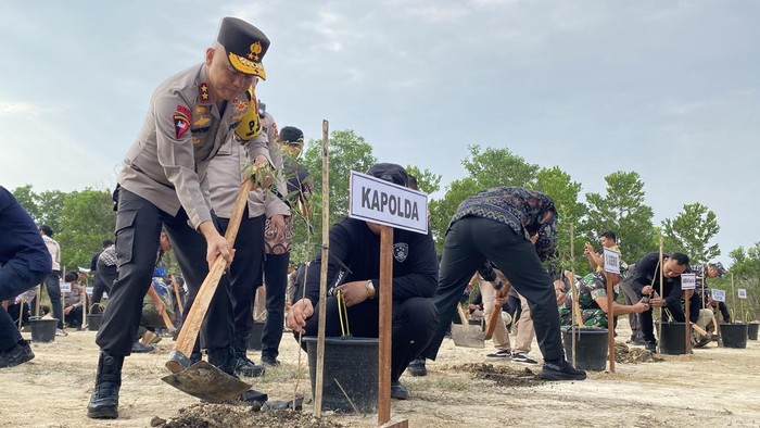 Penanaman pohon serentak di Bangka Belitung.