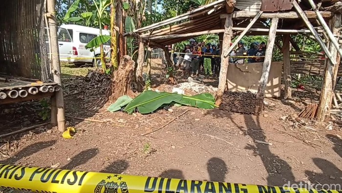 Penemuan mayat wanita setengah telanjang di dekat kandang ayam di Kendal, Kamis (17/10/2024).