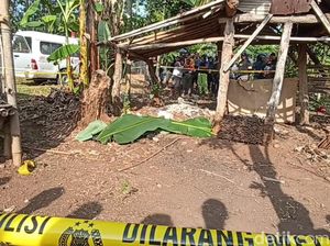 Tragis Santriwati Hafizah Dibunuh-Diperkosa, Jasad Dibuang Dekat Kandang