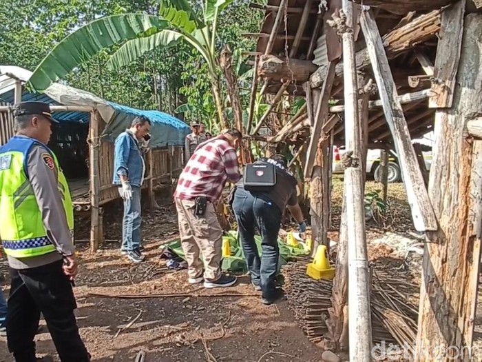 Polisi memeriksa mayat wanita yang ditemukan di dekat kandang ayam di Desa Darupono, Kaliwungu Selatan, Kabupaten Kendal, Kamis (17/10/2024) pagi.