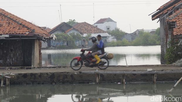 Potret abrasi dan rob di Desa Legonwetan, Kecamatan Legonkulon, Kabupaten Subang