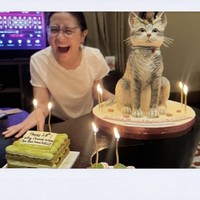 Berbagai kue ulang tahun juga diterima Prilly dari para kerabat. Mulai dari yang berbentuk simpel hingga unik menyerupai kucing. Foto: Instagram/@prillylatuconsina96