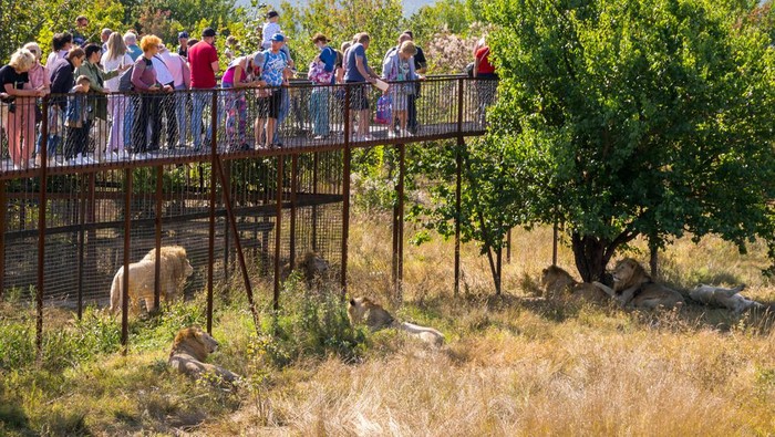 Taman Safari Taigan, di Belogorsk, Krimea