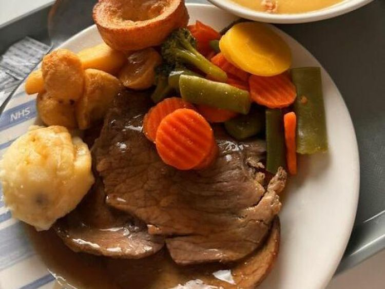 Bikin Ngiler! 10 Potret Makanan Rumah Sakit di Berbagai Negara