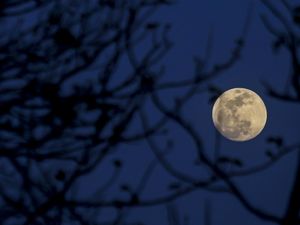 Hujan Meteor Orionid dan Hunters Moon Oktober 2026, Cek Jadwalnya!