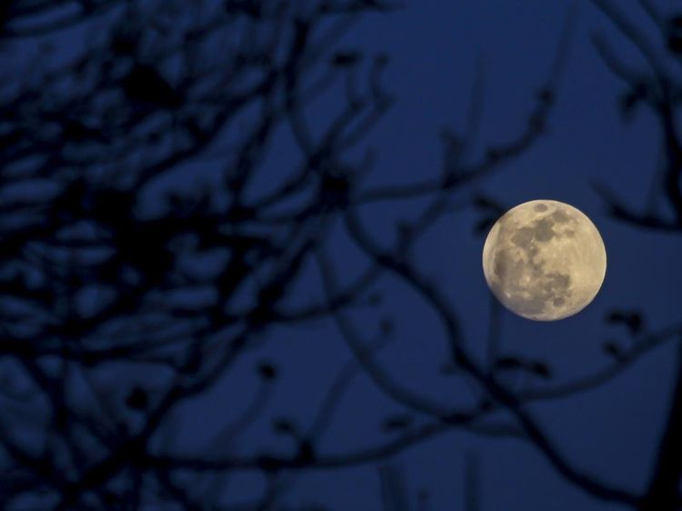 Terpesona Hunter Moon di Langit Tanah Air