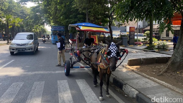 Imam tengah menaiki delman yang ia kendalikan di jalan Diponegoro, Kota Bandung. Jumat (18/10/2024).