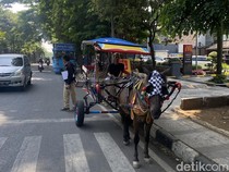 Harapan Kusir Delman yang Mulai Tersisih Zaman di Bandung