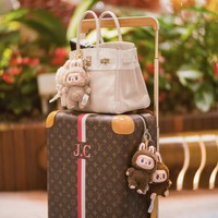 Bukan hanya untuk tas yang dipakai sehari-hari. Jamie Chua juga menghiasi koper mewahnya dengan Labubu tanpa takut hilang. Dalam foto ini, Jamie menyesuaikan warna boneka dengan tasnya. Foto: Instagram Jamie Chua