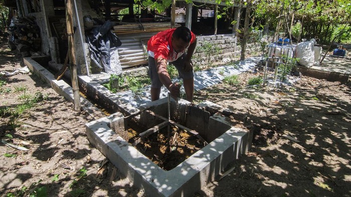 Warga mengumpulkan kotoran sapi untuk bahan biogas di lereng Gunung Merapi, Sruni, Musuk, Boyolali, Jawa Tengah, Kamis (17/10/2024). Menurut warga sebanyak 183 digester biogas telah dibangun untuk mengolah kotoran sapi menjadi biogas sebagai bahan bakar kompor gas rumah tangga sehingga dapat menggurangi pengeluaran terutama membeli gas LPG 3kg sebesar Rp88 ribu per bulan.