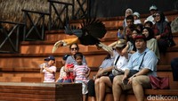 Pertunjukan burung wahana Fauna Land menjadi destinasi favorit bagi warga.
