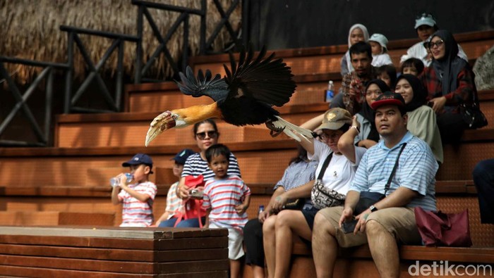 Akhir pekan menjadi waktu yang digunakan warga untuk berlibur. Sejumlah warga mengisi libur dengan menikmati pertunjukan burung di wahana Fauna Land di kawasan Ancol.