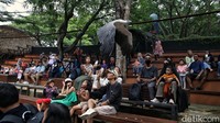 Sejumlah warga menikmati pertunjukan burung di wahana Fauna Land di kawasan, Ancol, Jakarta Utara, Jumat (18/10/2024).