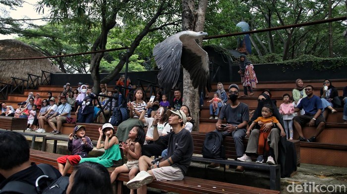 Akhir pekan menjadi waktu yang digunakan warga untuk berlibur. Sejumlah warga mengisi libur dengan menikmati pertunjukan burung di wahana Fauna Land di kawasan Ancol.