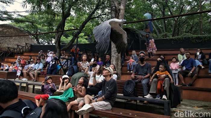 Mengisi Libur Akhir Pekan di Wahana Burung Ancol Akhir pekan menjadi waktu yang digunakan warga untuk berlibur. Sejumlah warga mengisi libur dengan menikmati pertunjukan burung di wahana Fauna Land di kawasan Ancol.