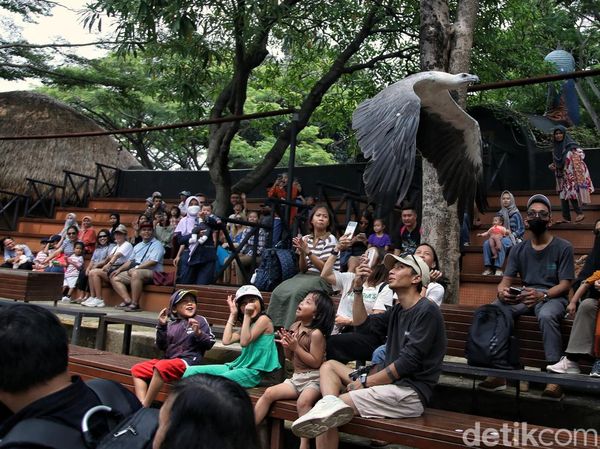 Mengisi Libur Akhir Pekan di Wahana Burung Ancol