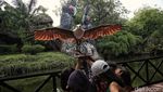 Mengisi Libur Akhir Pekan di Wahana Burung Ancol