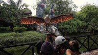 Dengan adanya pertunjukan burung ini bertujuan memberikan edukasi kepada masyarkat. Khususnya anak-anak yang sangat menikmati akrobat burung.