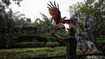 Mengisi Libur Akhir Pekan di Wahana Burung Ancol