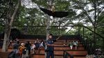 Mengisi Libur Akhir Pekan di Wahana Burung Ancol